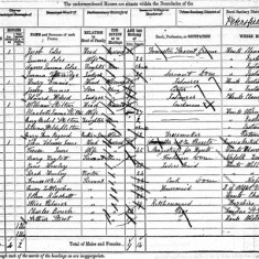 1881 census showing John Delaware Lewis as occupier