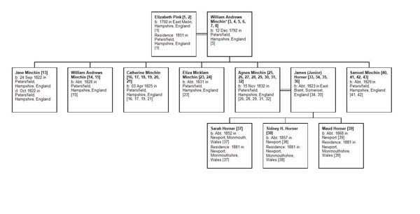Chart showing family of Elizabeth Pink and Andrew Minchin