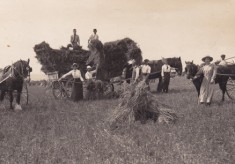 Farming images