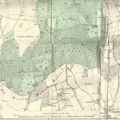 Map of Lot 16 (bottom)