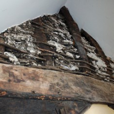 Truss beam and daub and wattle, seen from the new studio. The truss beam has been dendrochronoligially dated to 1333.