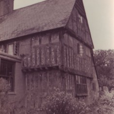 The north-east corner, showing part of the shop extension and bushes in the garden.