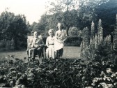 Woodfield photographs