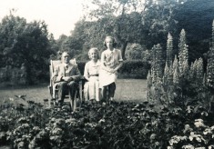 Woodfield photographs