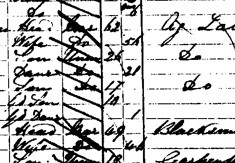 Detail of 1871 census showing Alexander family resident in Bordean.