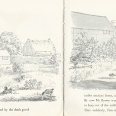 Vegetable garden