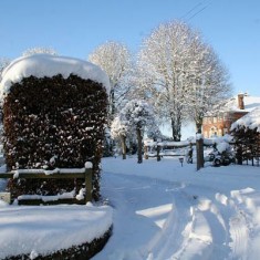 Glebe House, photographed by Laura Redpath