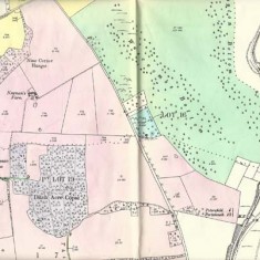 Ditch Acre Copse