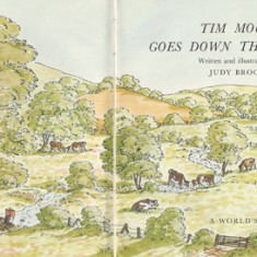 Title page Tim Mouse goes down the stream.