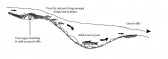 WIld Trout Association report