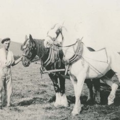 This is my Great Grandad Alfred who was born in 1903. Everybody called him ‘Jack’. He didn’t start school until he was 8 and had to walk there and back (about 6 miles) from his house in Coombe. He left school at 12 and went straight to work as a shepherd boy. He worked for Sam Hardy at Lower Farm (you can see him in the photo working with the horses), then for the Berrys at Oxenbourne and the Jones at Hillhampton Farm.
