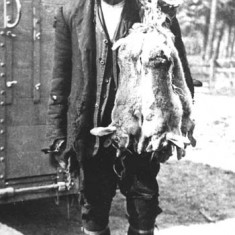 This is my Great-great-grandad, Walter. He was born in Kilmeston in 1865. I don’t know where he went to school. He later lived at Bordean Cross and Coombe Bottom, working as a shepherd. You can see he quite liked catching rabbits as well!