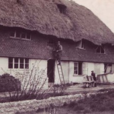 Thatching Hockley