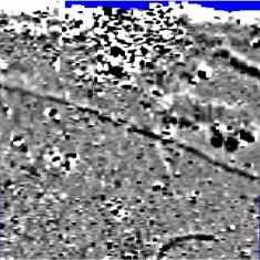 Resistivity image of Shavards Farm 