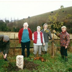 Planting Memorial Oak on Recreation Ground. From L, Frank Wheeler, Anella Parker Martin, Rosemary Ryder, Susan Hull