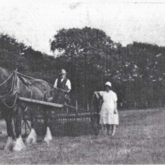 Horse and cart with man and two women 