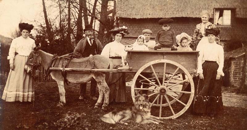 Family with donkey cart.