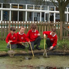School Pond 2009