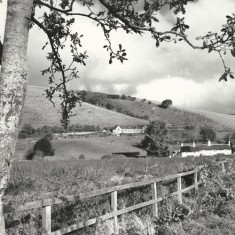 Old School and field, Frogmore cottages on right.