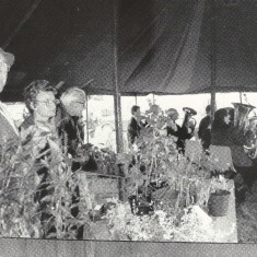 Peter Street at Flower Stall