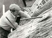 Thatching (Ryder collection)