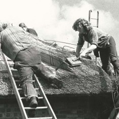 Thatchers on roof 