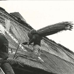 Thatching (Ryder collection)