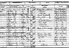 Analysis of Census Returns, 1841 - 1911