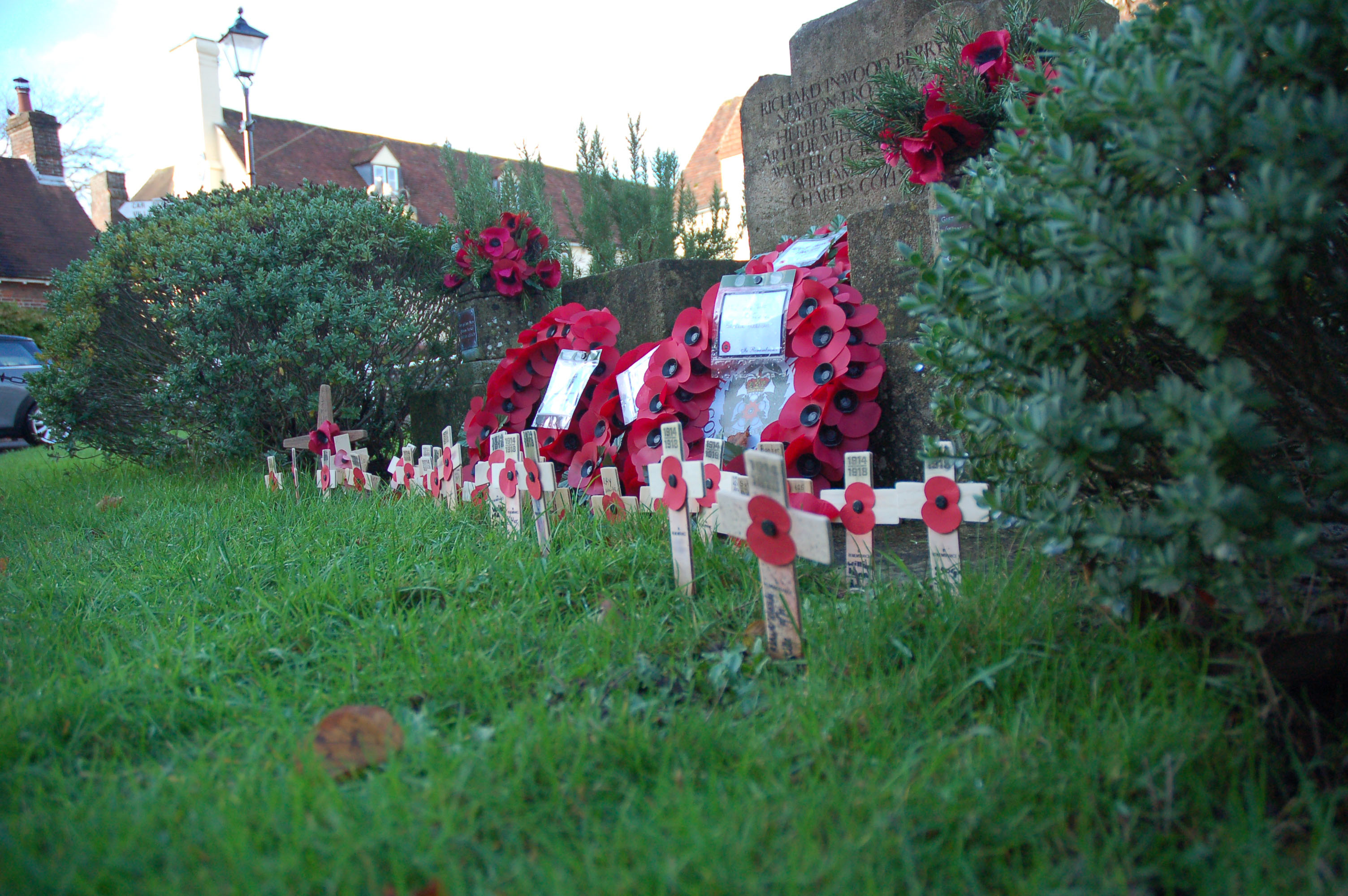 Poppies planted by Hazel Class of East Meon Church of England Primary School, November 11th 2014