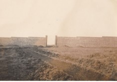 Kitchen garden, December 1922