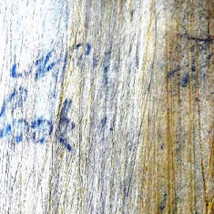 Jim's grandfather John  Cook inscribed his name in the shepherd's hut