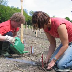 Planters at work, May 2006