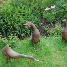 Ducks in Hazel Rendle's garden Ducks in Hazel Rendle's garden (children's checklist)_