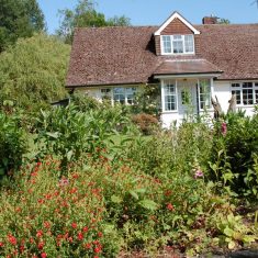 Hazel Rendle's garden from front Hazel Rendle's garden from front