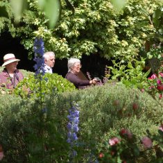 Tudor_three_visitors Visitors to the Tudor House garden