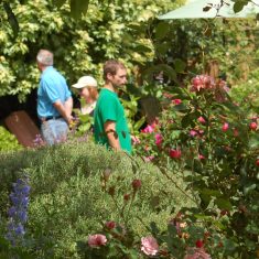 Tudor_three_youngish Young visitors to the Tudor House garden
