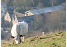 Meon Matters Archive